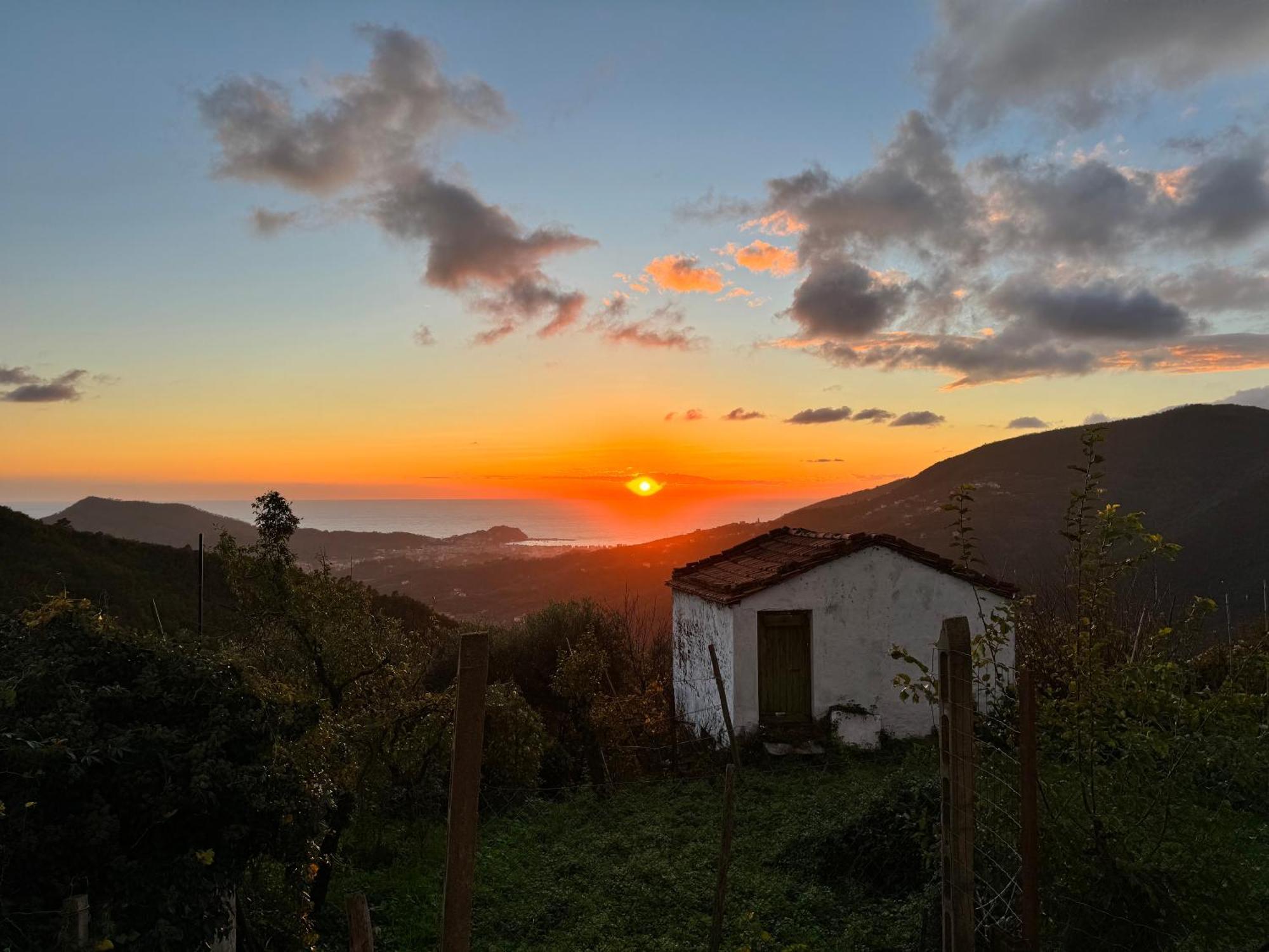 La Collina Sul Mare - Casa Vacanze Sestri Levante Luaran gambar
