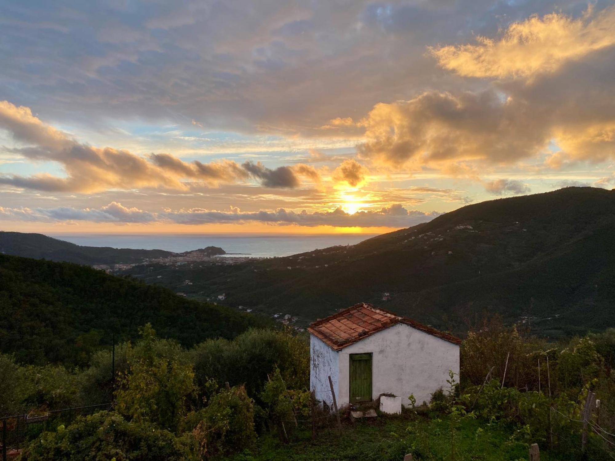 La Collina Sul Mare - Casa Vacanze Sestri Levante Luaran gambar
